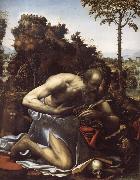 SODOMA, Il Saint Jerome in Penitence oil painting